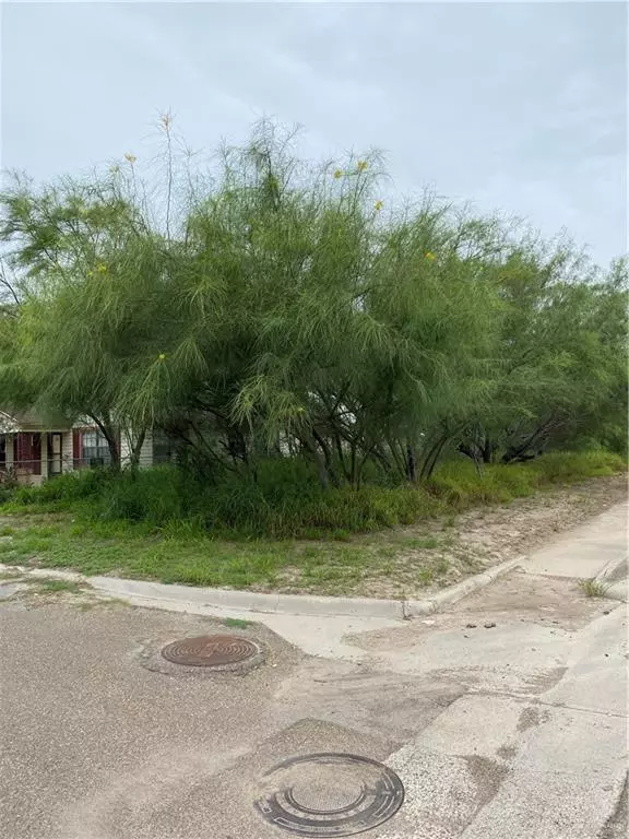 Rio Grande City, TX 78582,000 E Hidalgo ST