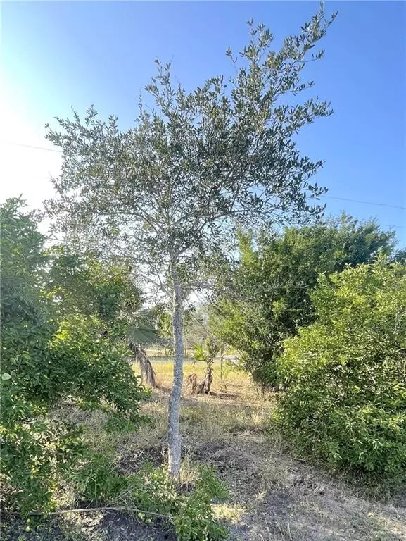 Edinburg, TX 78542,9914 Cibolo DR