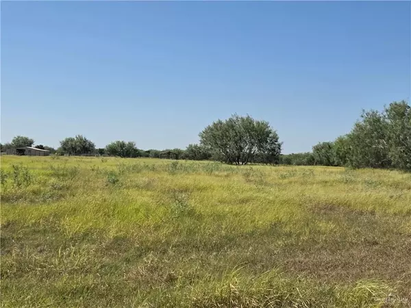 Edinburg, TX 78542,19719 Los Venados DR