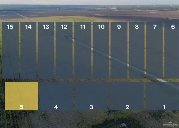 Lot 5 Jara Chinas RD, Edinburg, TX 78541