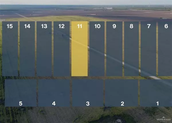 Lot 11 Jara Chinas RD, Edinburg, TX 78541