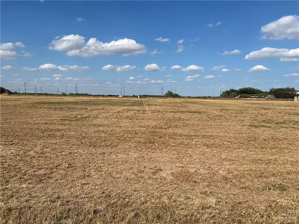 Palmhurst, TX 78573,000 N Bryan RD