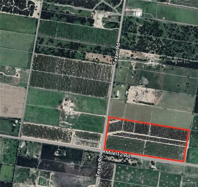 01 Texan RD, Mission, TX 78574