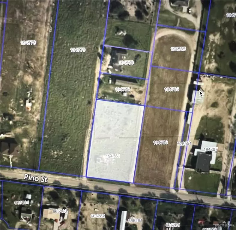 Penitas, TX 78576,00 Pino ST