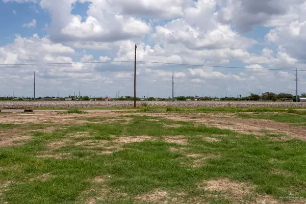 Donna, TX 78537,1728 Yamileth RD