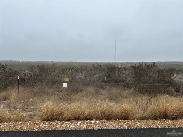 Rio Grande City, TX 78582,2 Marion DR