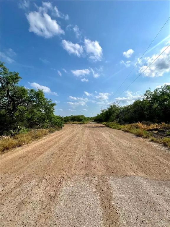 Mission, TX 78572,7739 Chihuahua RD