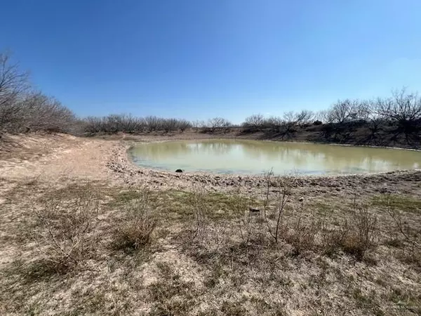 Zapata, TX 78076,126 AC FM 2687