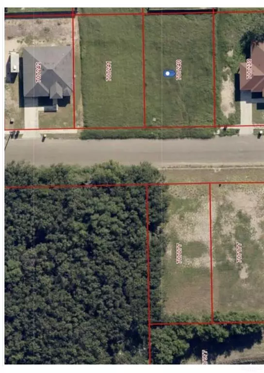 Weslaco, TX 78596,65 Sawgrass ST