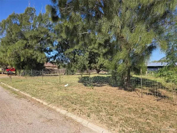 Weslaco, TX 78596,705 Palo Verde ST