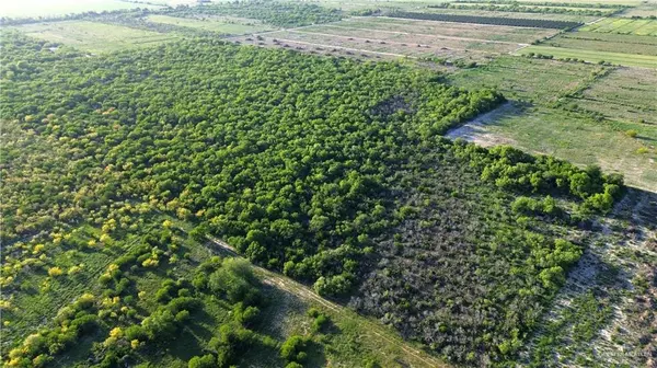 Edinburg, TX 78542,1025 N Iowa RD