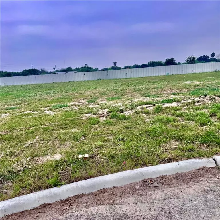 Edinburg, TX 78539,3317 S Kerala AVE