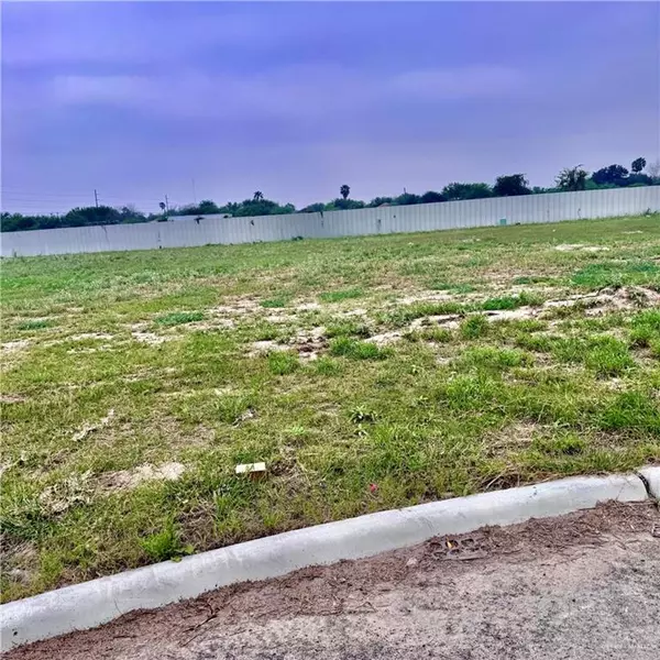 3317 S Kerala AVE, Edinburg, TX 78539