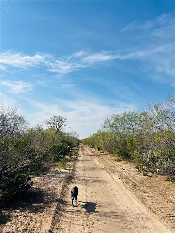 Guerra, TX 78360,1603 FM 649