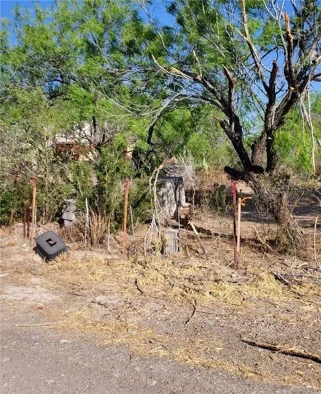 Roma, TX 78584,2 N Ebony AVE