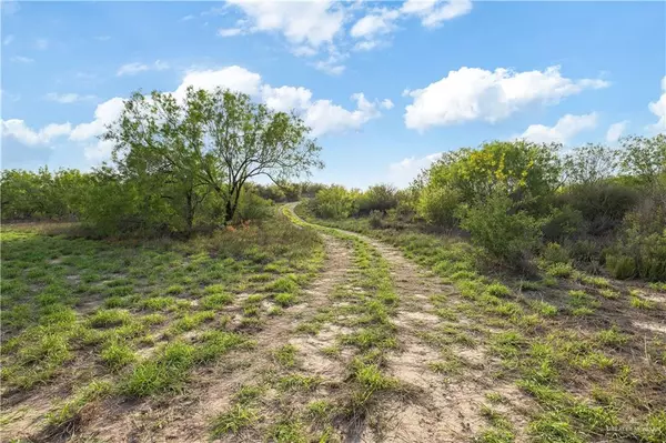 Rio Grande City, TX 78582,561 Loma Blanca RD