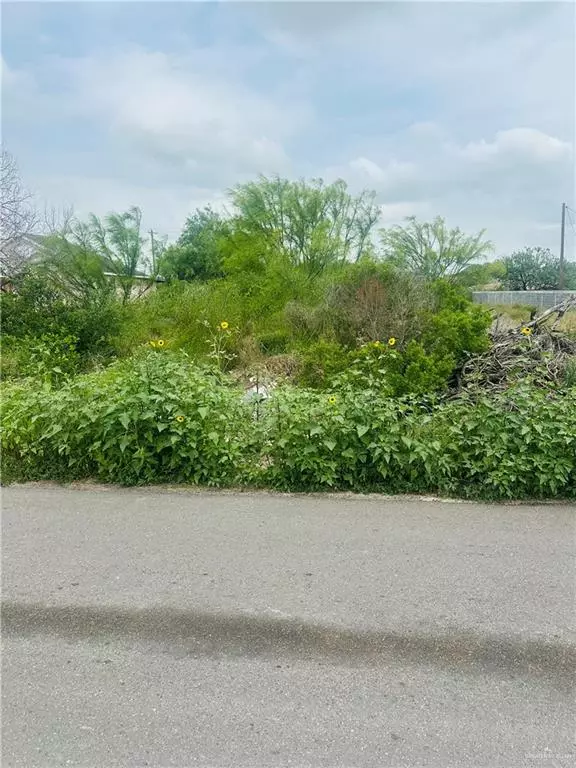 Rio Grande City, TX 78582,0 N La Paloma ST