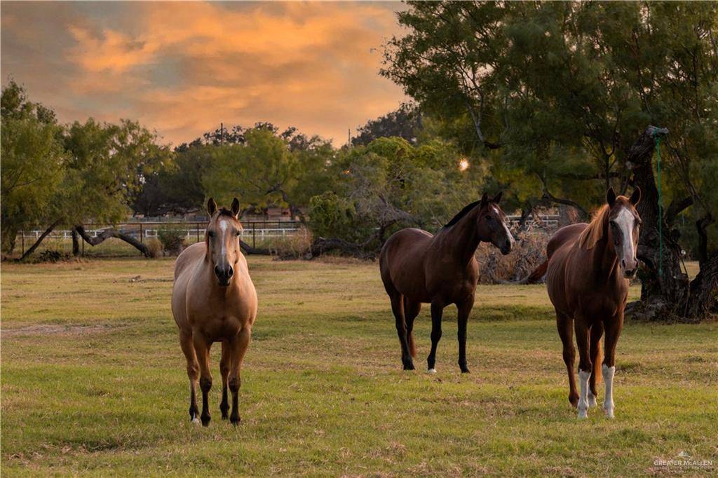 Mission, TX 78573,5830 Westminster AVE