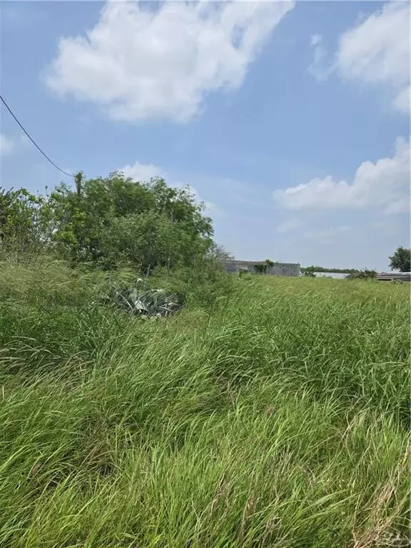 4807 Wynn DR,  Donna,  TX 78537