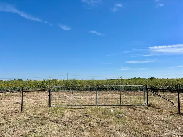 Edcouch, TX 78538,7821 Mile 19