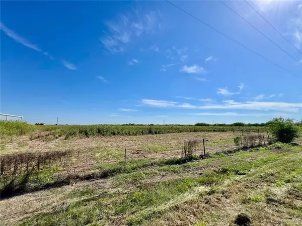 Edcouch, TX 78538,7821 Mile 19