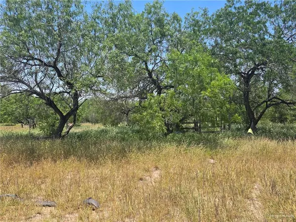 La Joya, TX 78560,512 S Garza AVE