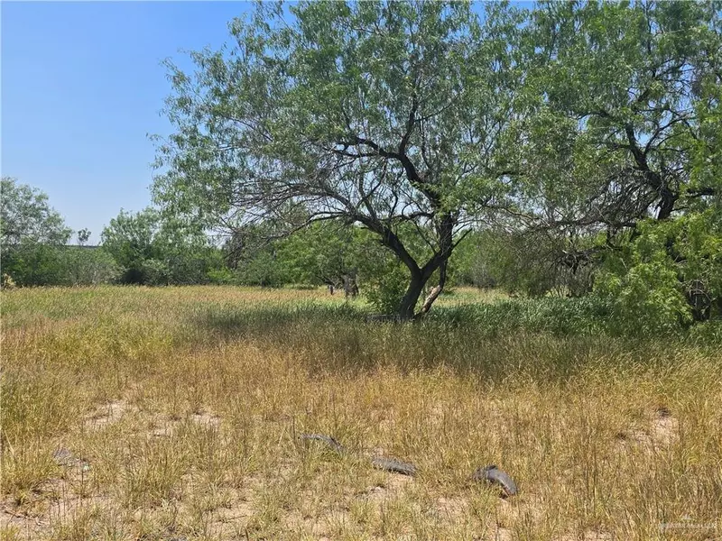 512 S Garza AVE, La Joya, TX 78560