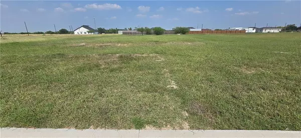 Donna, TX 78537,13324 Almirola ST