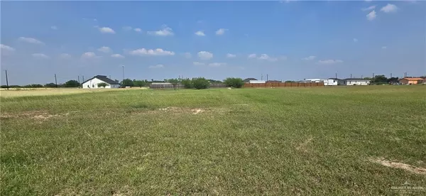 Donna, TX 78537,13324 Almirola ST