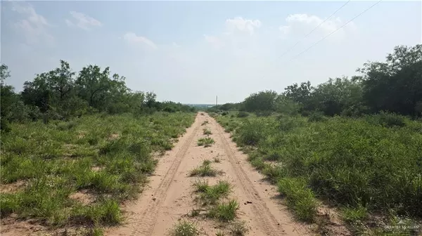 Roma, TX 78584,0 Las Escobas RD