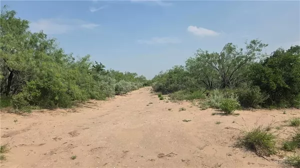 Roma, TX 78584,0 Las Escobas RD