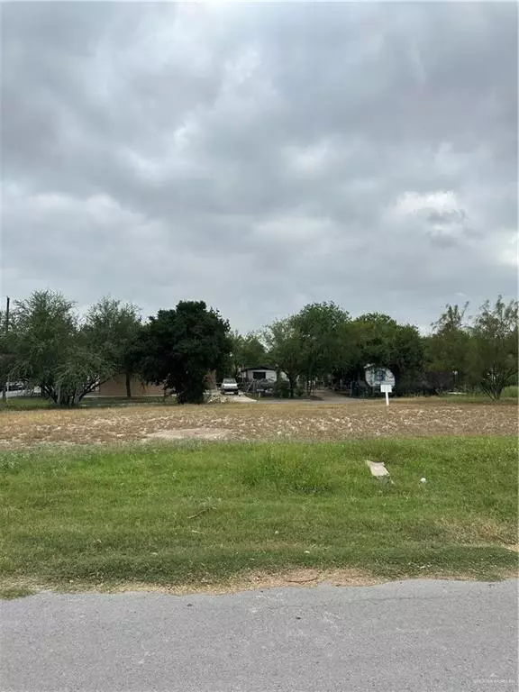 403 Conchita DR, Hidalgo, TX 78557