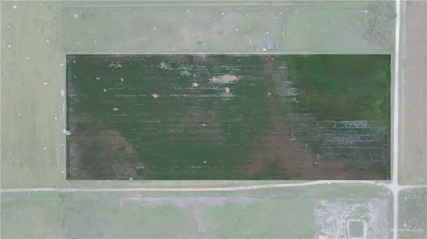 Edcouch, TX 78538,0 Filegonia RD