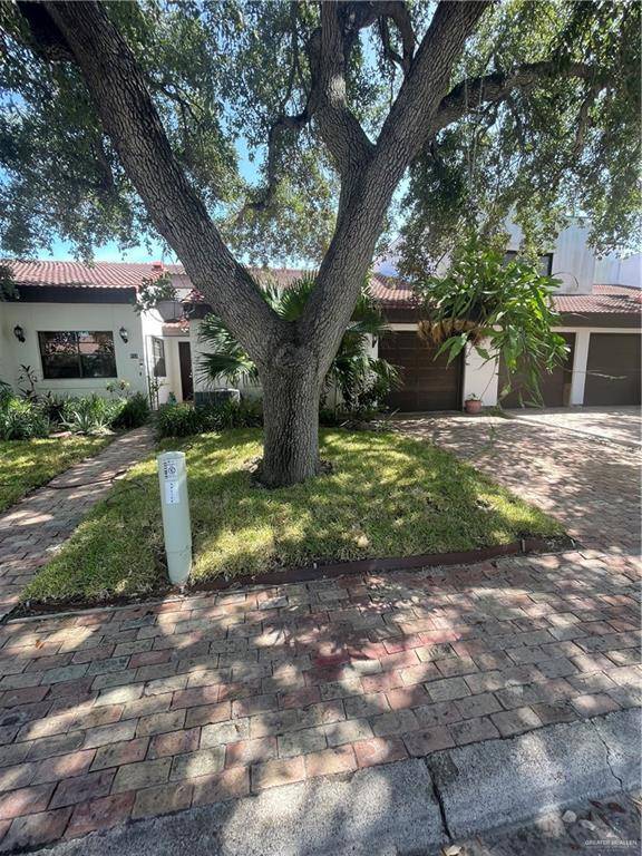 113 W Shasta AVE, Mcallen, TX 78504