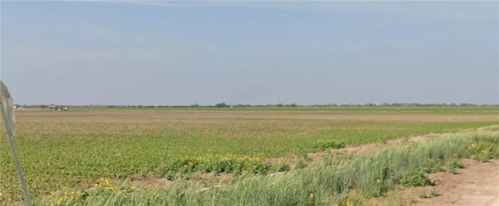 Hargill, TX 78549,TBD N Coolidge RD