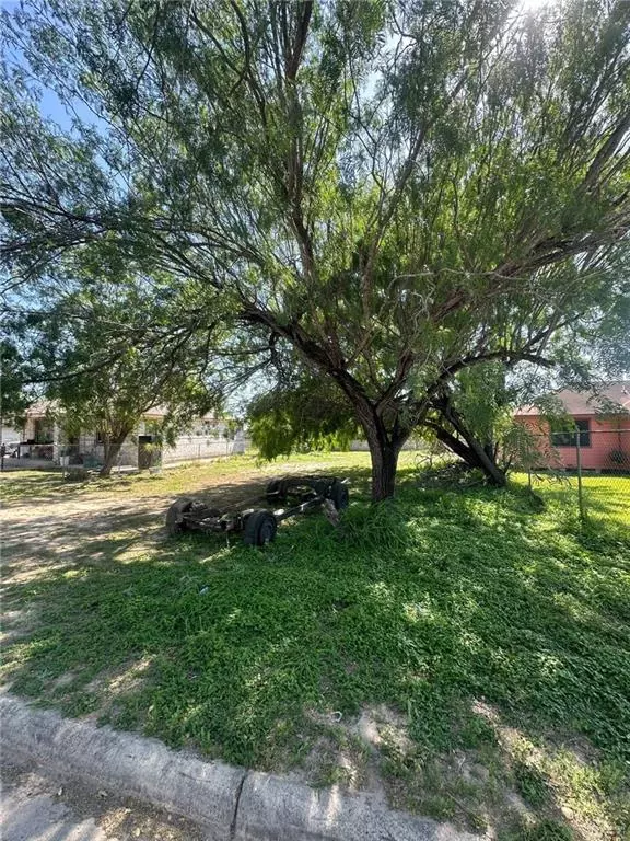 Mission, TX 78572,2411 Ala Blanca AVE