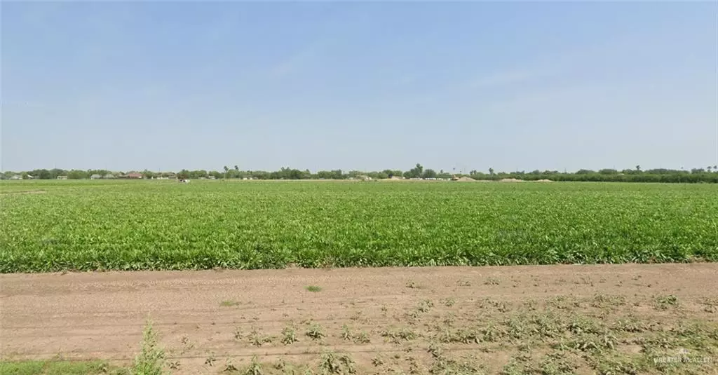 Alamo, TX 78516,0 Nolana LOOP