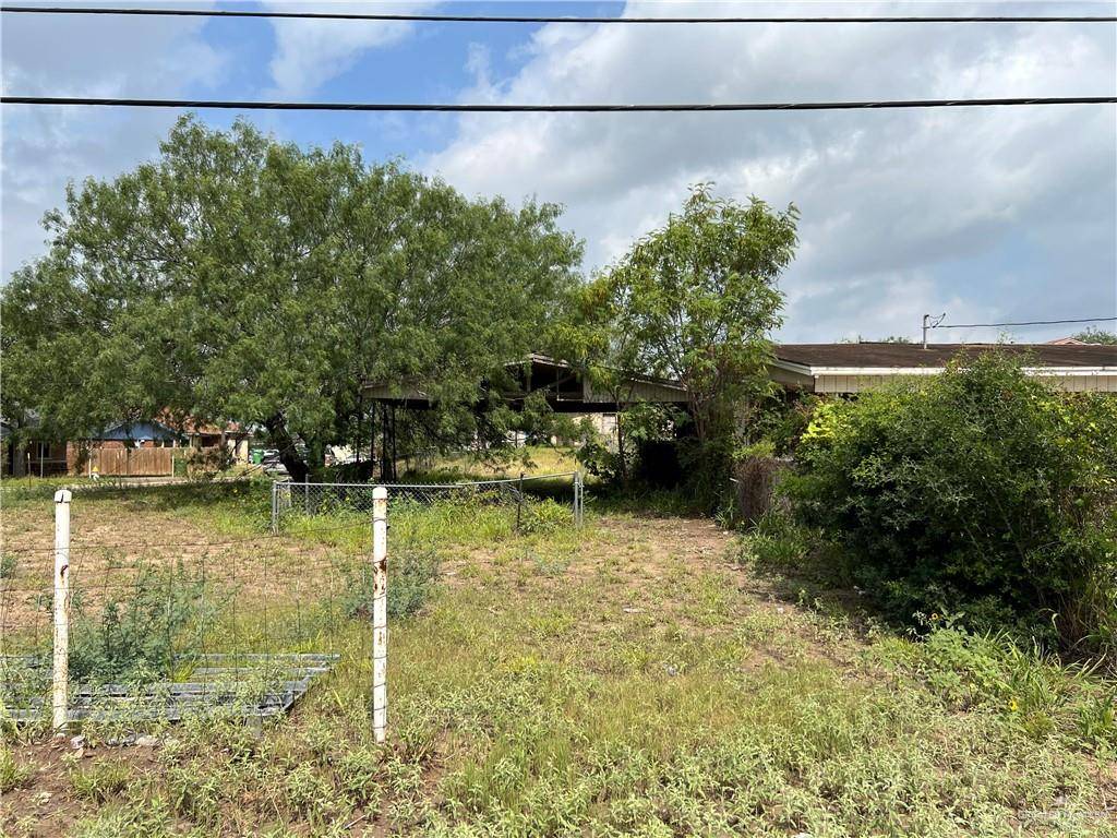 Rio Grande City, TX 78582,100 N Mariposa DR