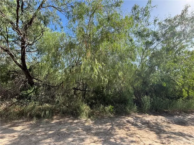 9 1st ST #2RD, Mission, TX 78572