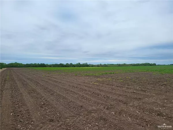 Lyford, TX 78569,24590 Uncle Peters RD