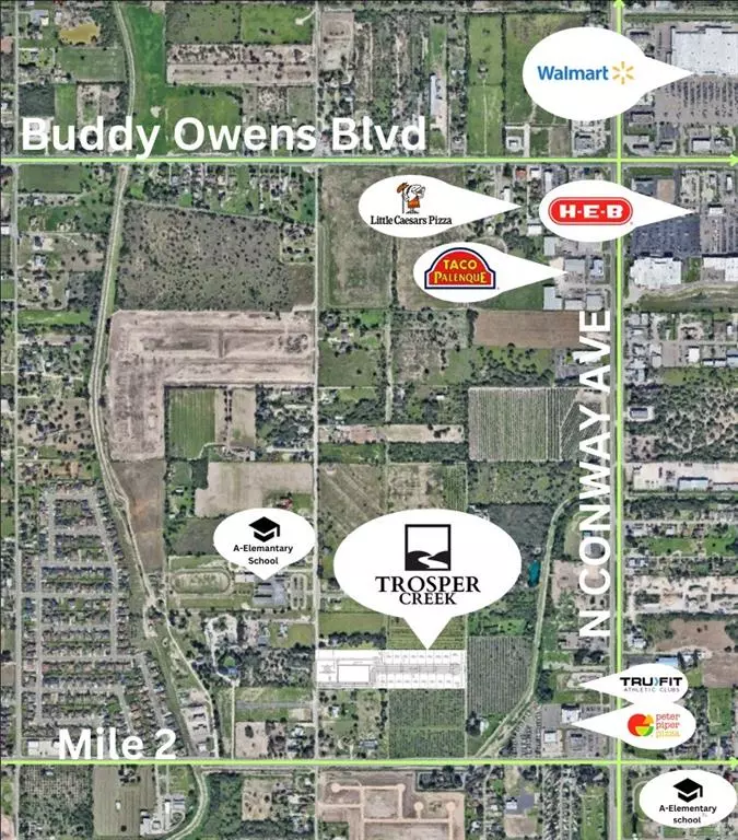 Mission, TX 78573,TBD Mountain DR
