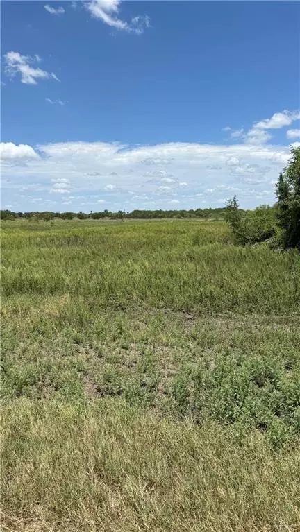 Edcouch, TX 78538,000 N Sunflower RD