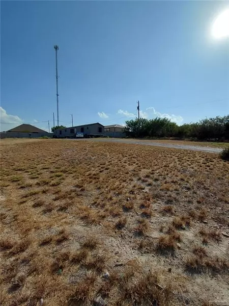 111 Ramona BLVD, Rio Grande City, TX 78582