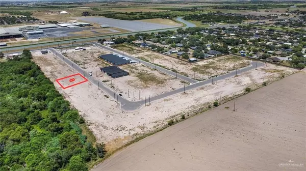 Mercedes, TX 78570,204 Royal Palm DR