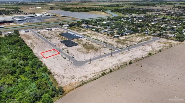 Mercedes, TX 78570,206 Royal Palm DR