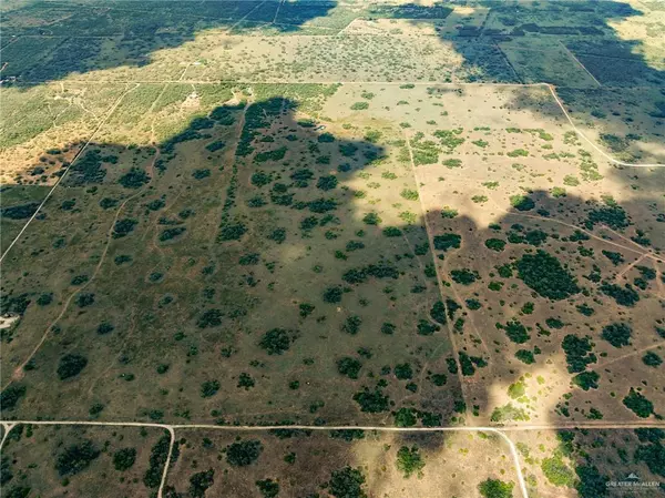 San Isidro, TX 78588,00 Los Mesquites LN