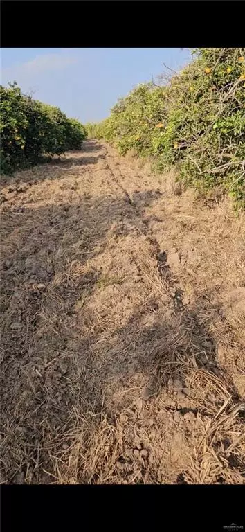 Edinburg, TX 78541,1107 W Davis ST