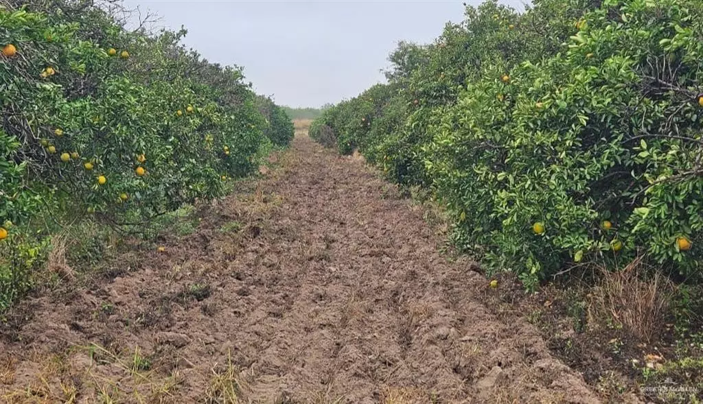 Edinburg, TX 78541,1107 W Davis ST