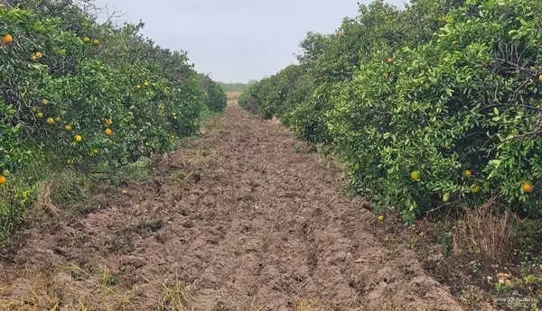 1107 W Davis ST, Edinburg, TX 78541