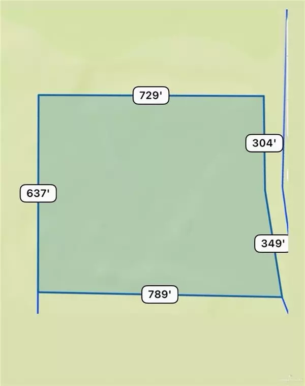 Sullivan City, TX 78595,0 S Guadalupe Flores ST